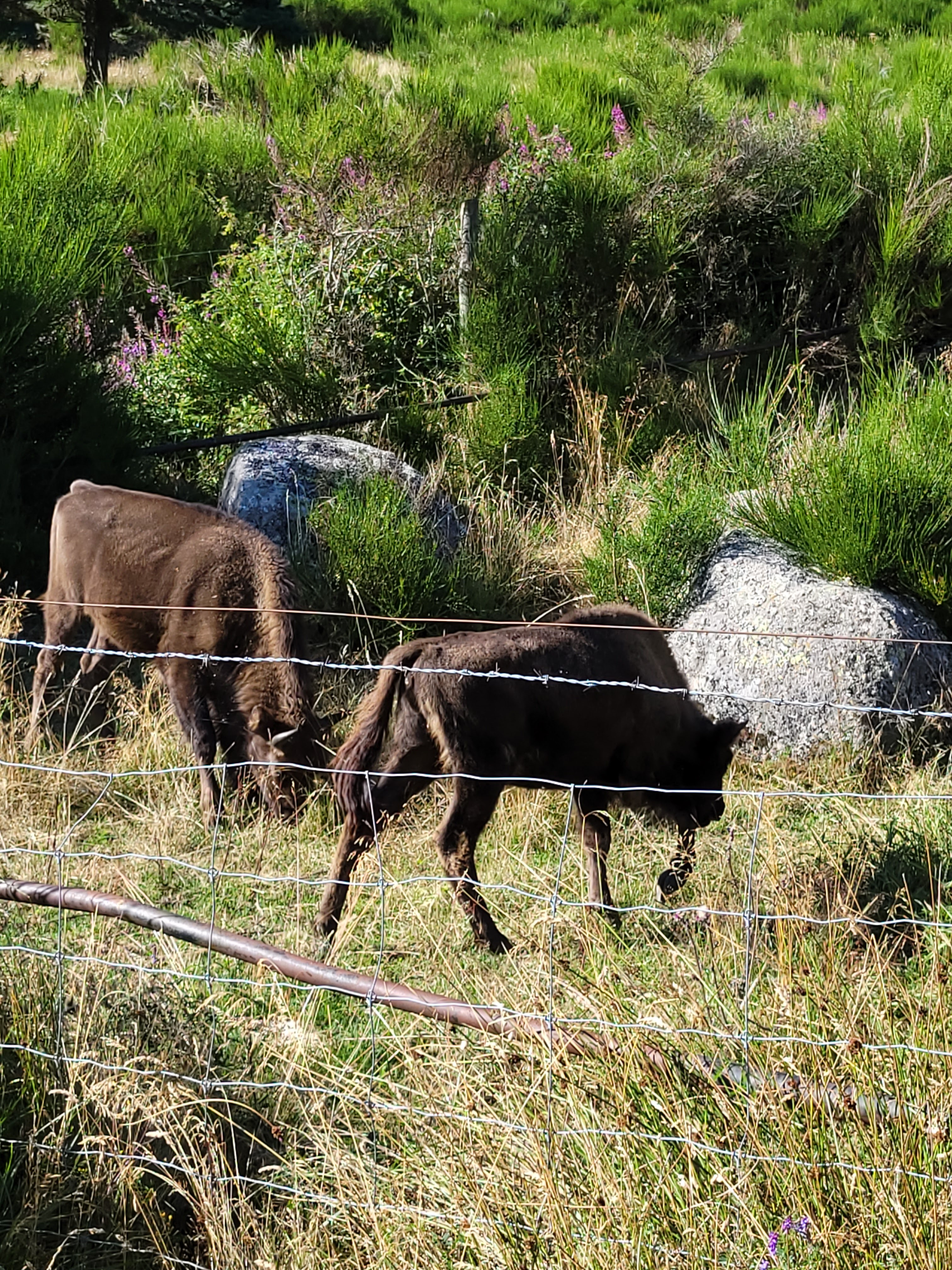 Photo n° 1 de l'avis de Vanille.n fait le 08/08/2023 à 16:25