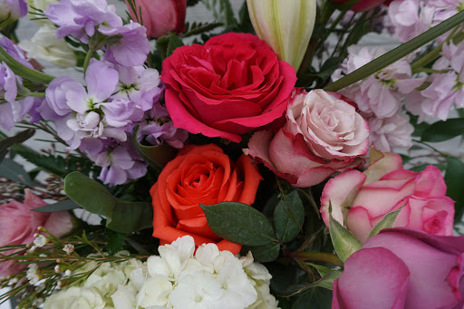 Florist «Carrollwood Florist», reviews and photos, 11745 N Dale Mabry Hwy, Tampa, FL 33618, USA