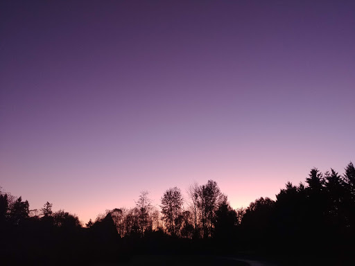 Park «Commonwealth Lake Park», reviews and photos, SW Butner Rd & SW Huntington Ave, Cedar Hills, OR 97225, USA