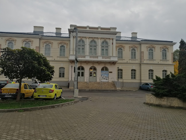 Muzeul de Artă Tulcea