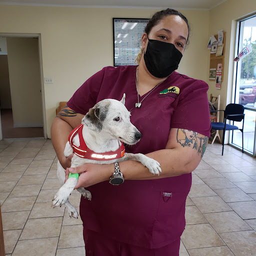 Bayou South Animal Hospital image