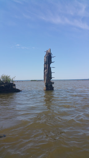 Tourist Attraction «Mallows Bay», reviews and photos, 1440 Wilson Landing Rd, Nanjemoy, MD 20662, USA