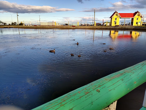 Parque María Behety - Ruta 9 2715, Punta Arenas, Magallanes y la Antártica Chilena, Chile