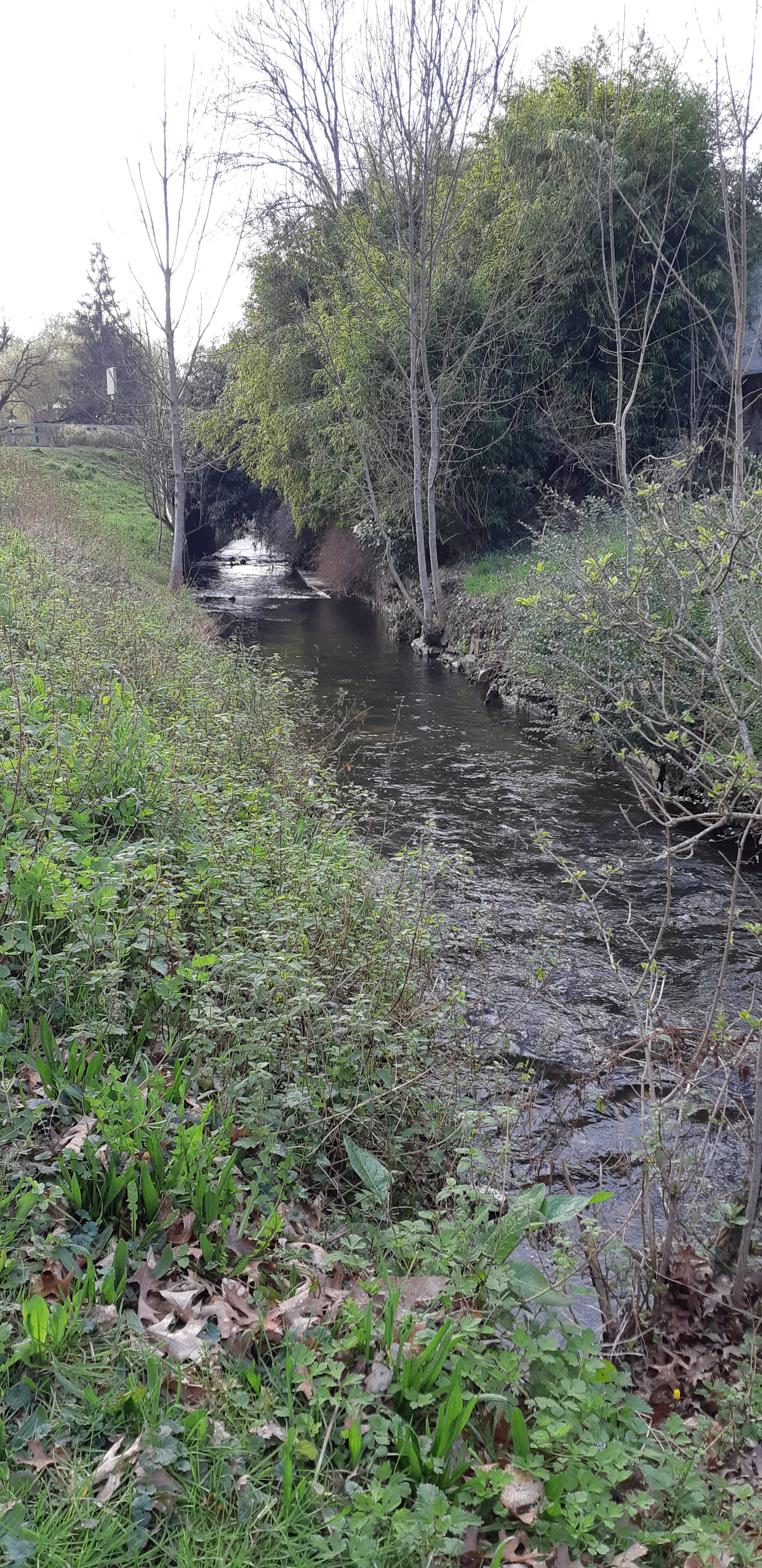 Photo n° 4 de l'avis de Gérard.a fait le 18/06/2020 à 17:57