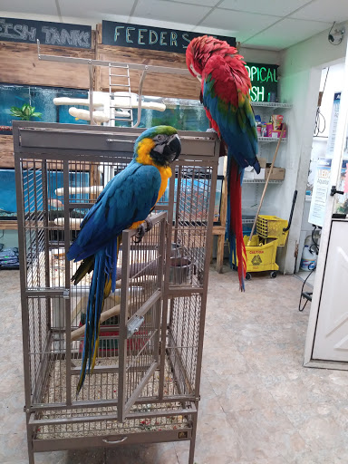 Pet Store «Feed-Rite Pet Supply», reviews and photos, 2979 Fort St, Lincoln Park, MI 48146, USA