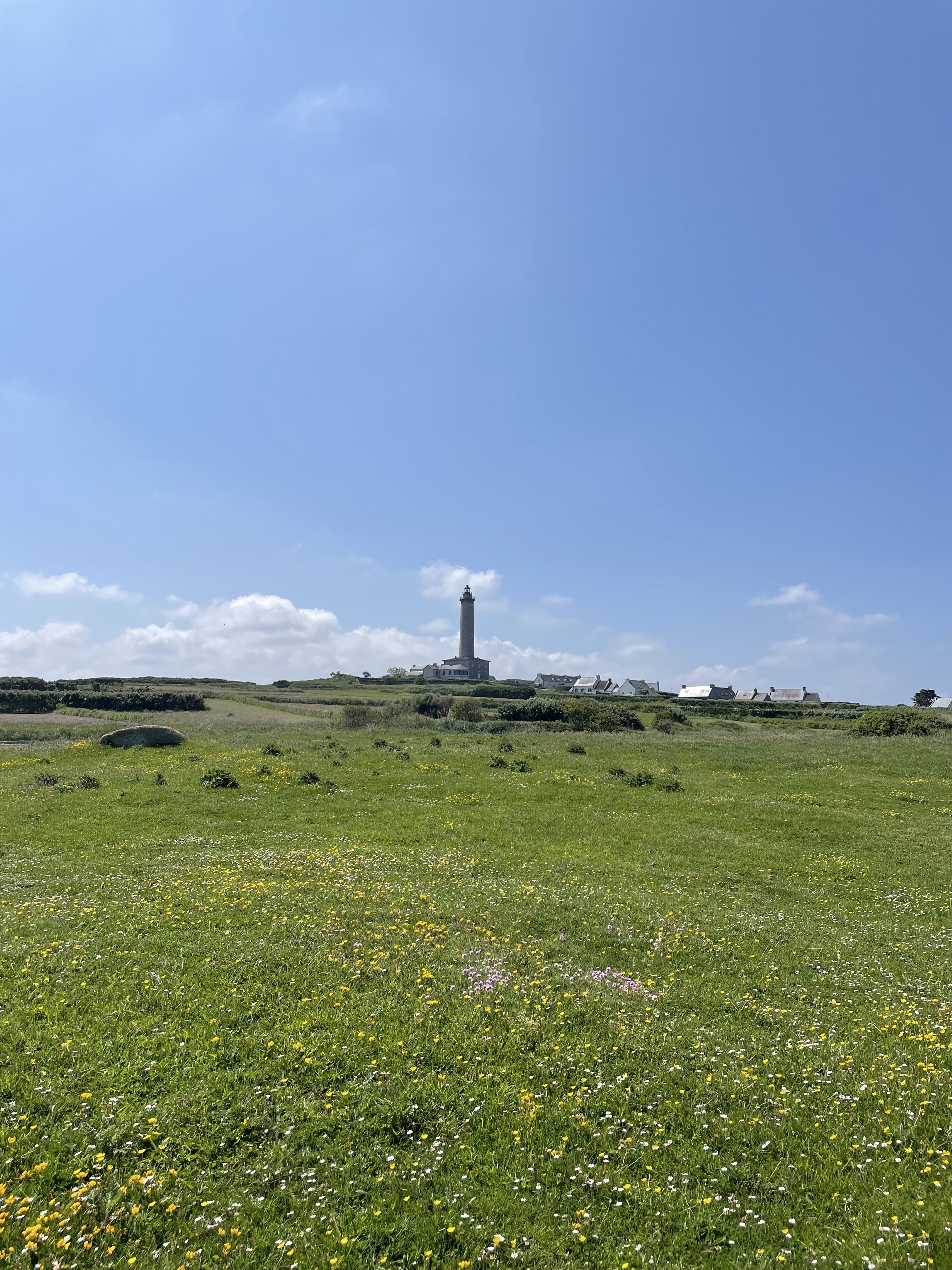 Photo n° 3 de l'avis de D. fait le 28/05/2023 à 14:22