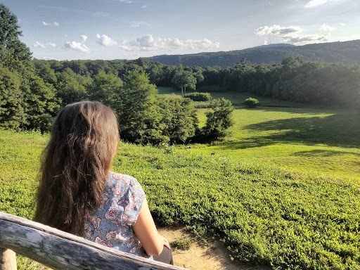 National Park «Home of Franklin D. Roosevelt National Historic Site», reviews and photos, 4097 Albany Post Rd, Hyde Park, NY 12538, USA