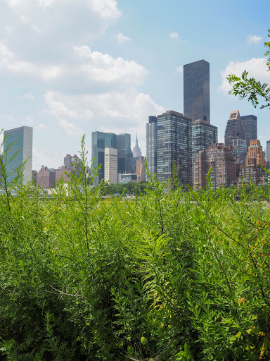 Park «Franklin D. Roosevelt Four Freedoms Park», reviews and photos, 1 FDR Four Freedoms Park, Roosevelt Island, NY 10044, USA