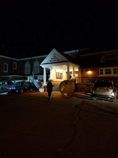 Concert Hall «Ridgefield Playhouse», reviews and photos, 80 E Ridge Rd, Ridgefield, CT 06877, USA