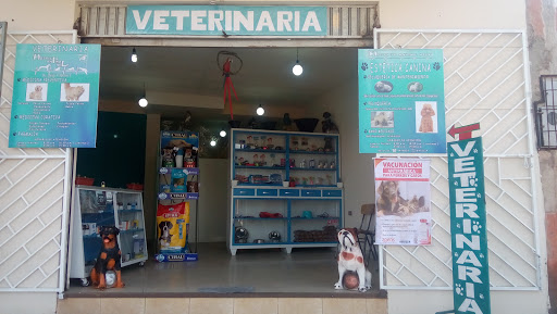 Veterinary Animal Help