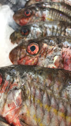 Photo n°9 de Pierrot Coquillages Kiosque, Restaurant, Livraison de fruits de mer & Poissons à Marseille ()