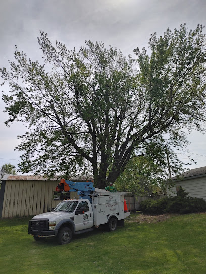 Tom's Tree Service