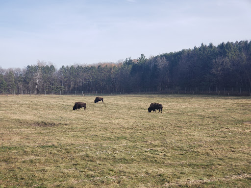 Park «Oxbow Park & Zollman Zoo», reviews and photos, 5731 County Rd 105 NW, Byron, MN 55920, USA