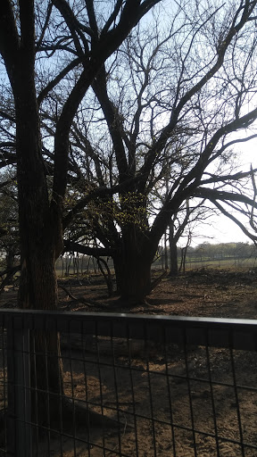 Ranch «Sharkarosa Wildlife Ranch», reviews and photos, 11670 Massey Rd, Pilot Point, TX 76258, USA