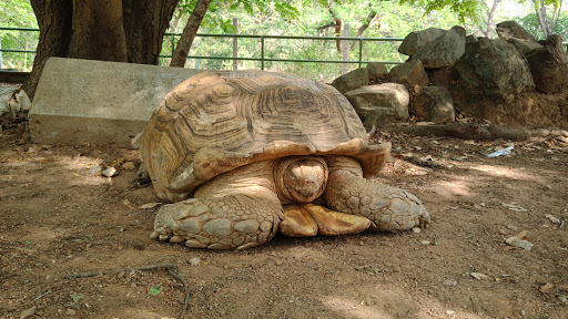 Abuja Children Park And Zoo, Unnamed Road, Abuja, Nigeria, National Park, state Niger
