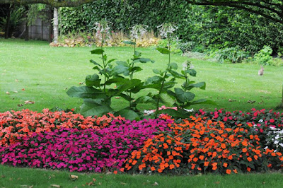 Jardin Express à Péronne