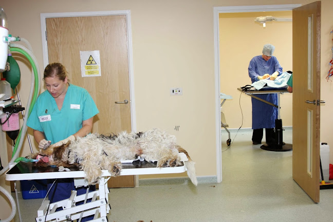 Drove Veterinary Hospital Stratton Surgery