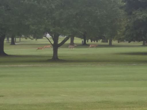 Golf Course «McDonald Golf Course», reviews and photos, 2905 E Morgan Ave, Evansville, IN 47711, USA