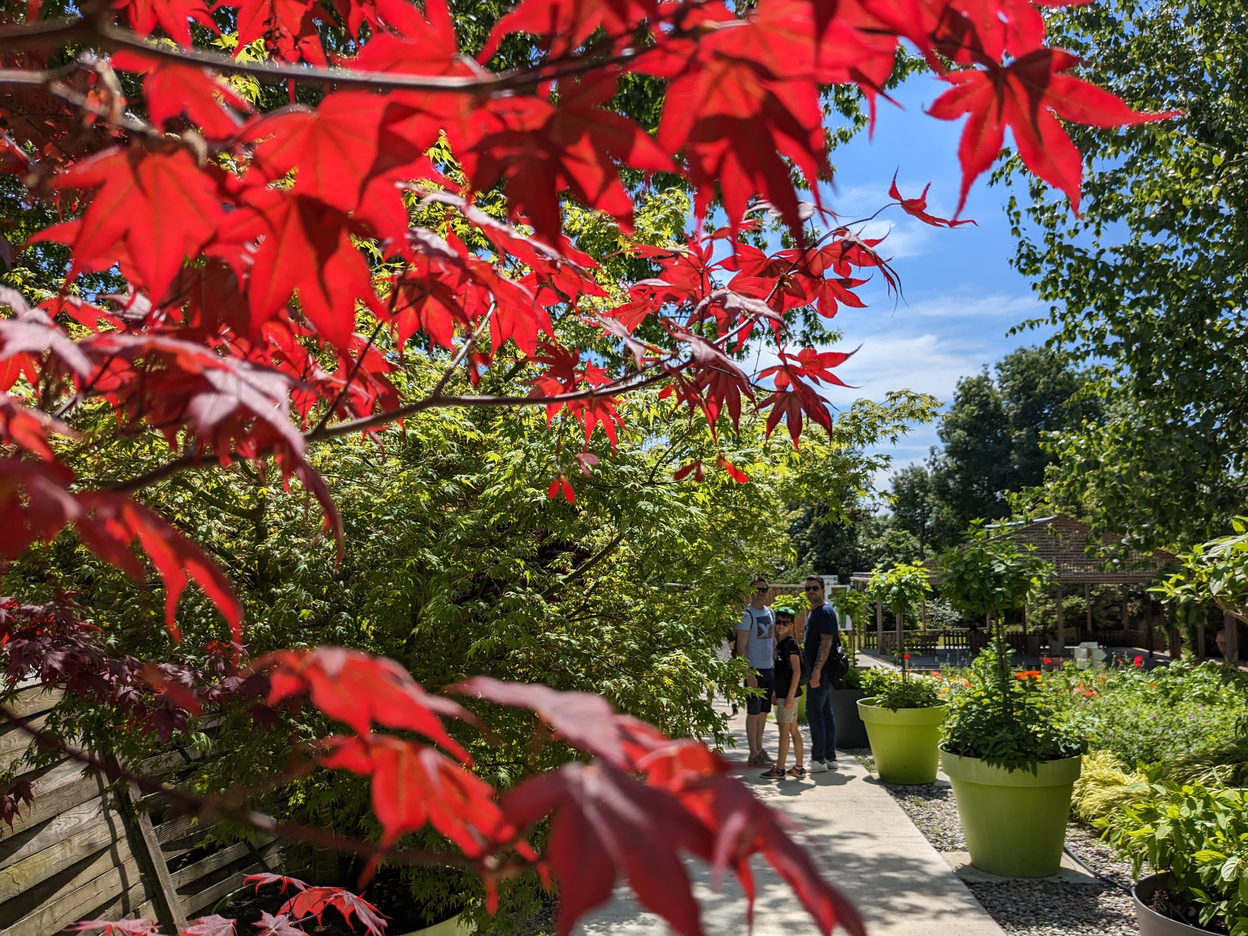 Photo n° 3 de l'avis de Aude.A fait le 06/05/2023 à 21:33