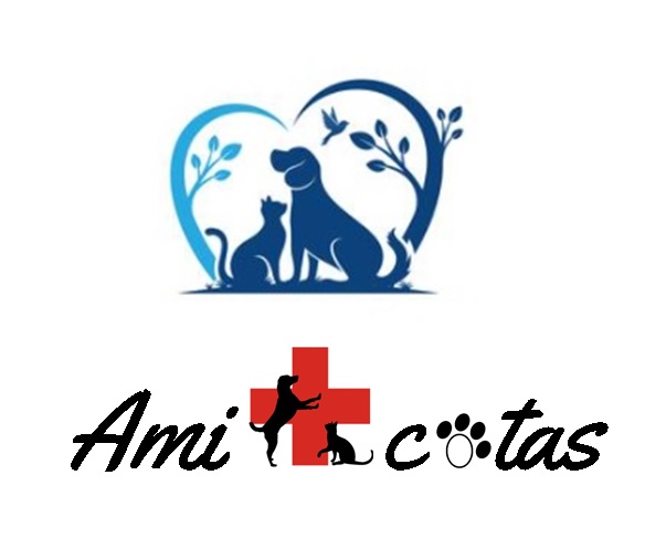 Ami+cotas (Servicio de Atención Veterinaria Ambulatoria a Domicilio) - Osorno