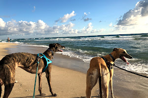 Bark Park Dog Beach