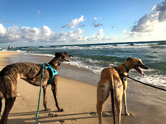 Bark Park Dog Beach