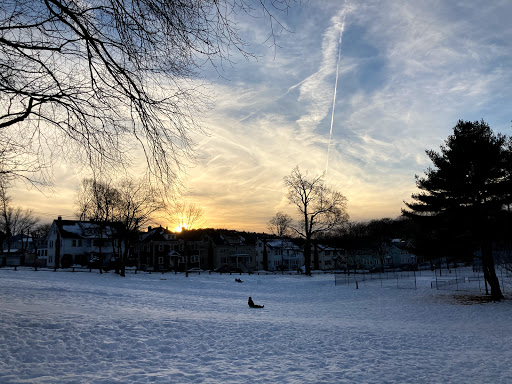 Park «ROGERS PARK», reviews and photos, 30 Rogers Park Ave, Boston, MA 02135, USA