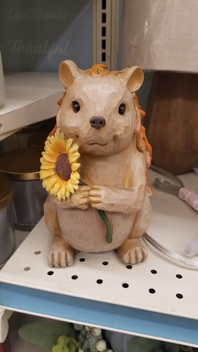 Discount Store «Big Lots», reviews and photos, 5017 S McCarran Blvd, Reno, NV 89502, USA