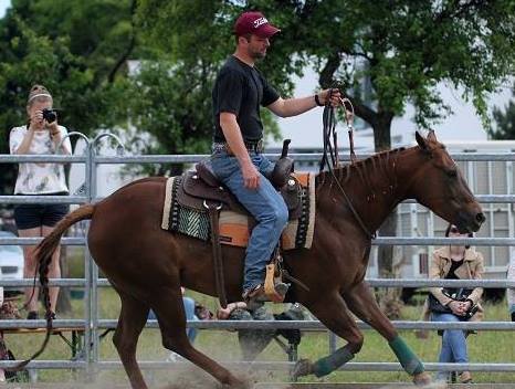 attractions Ranch de la Zembs Herbsheim