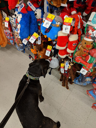 Pet Supply Store «PetSmart», reviews and photos, 430 NW Eastman Pkwy, Gresham, OR 97030, USA