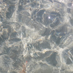 Photo n°2 de l'avis de Melania.u fait le 09/08/2020 à 00:09 sur le  Appartement Lido Conchiglie à Sannicola