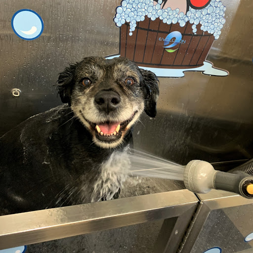 Pet Supply Store «Crossroads Pets», reviews and photos, 707 Monroe St, Nashville, TN 37208, USA