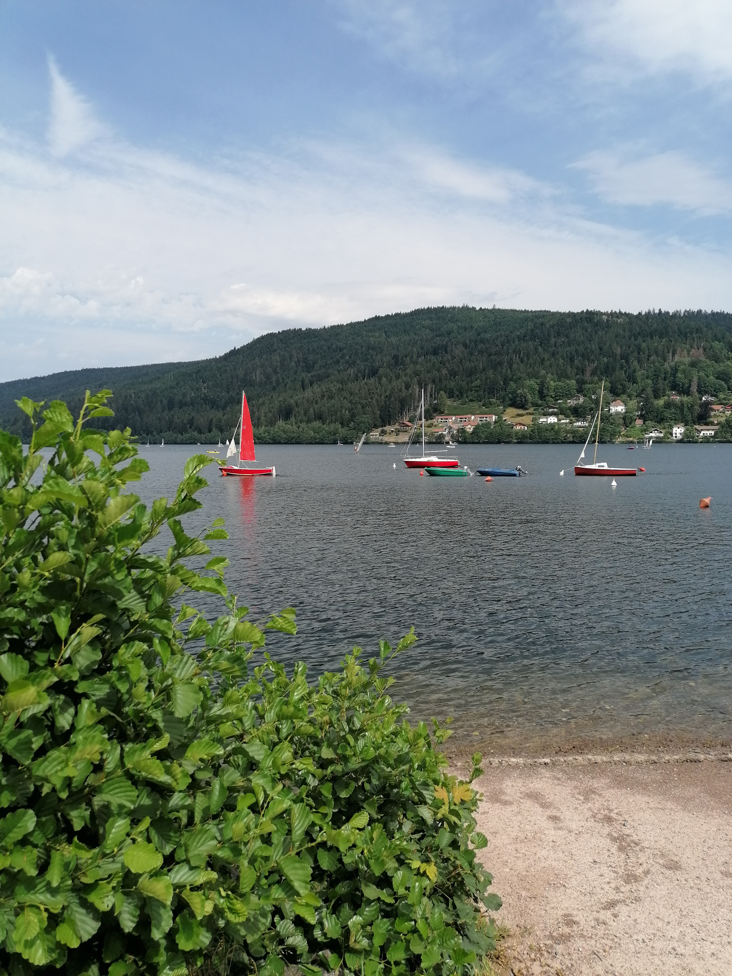 Photo n° 1 de l'avis de Marie-Hélène.T fait le 26/07/2022 à 14:21