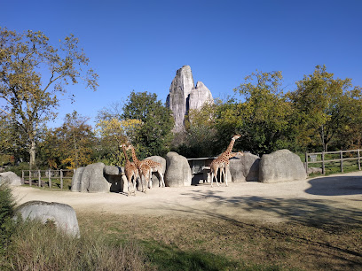 Grand Rocher du Parc Zoologique de Paris