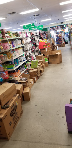 Dollar Store «Dollar Tree», reviews and photos, 4260 Harbour Beach Blvd, Brigantine, NJ 08203, USA