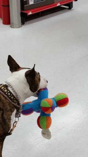 Pet Supply Store «Petco Animal Supplies», reviews and photos, 35 Davis Straits Road, Falmouth, MA 02540, USA