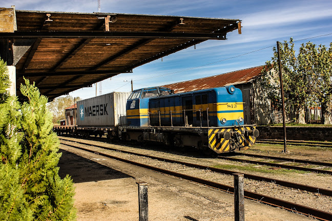 Comentarios y opiniones de Estación Rivera