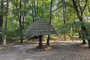 Park Miejski im. Franzl Langa w Tarnowskich Górach image