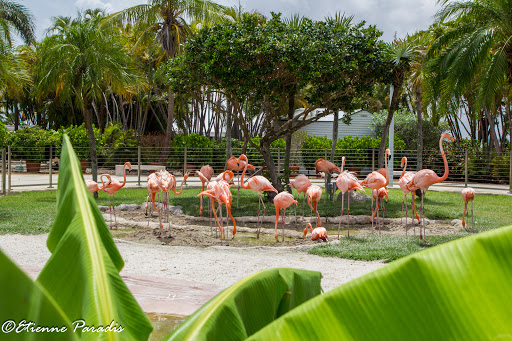 Aquarium «Miami Seaquarium», reviews and photos, 4400 Rickenbacker Causeway, Key Biscayne, FL 33149, USA
