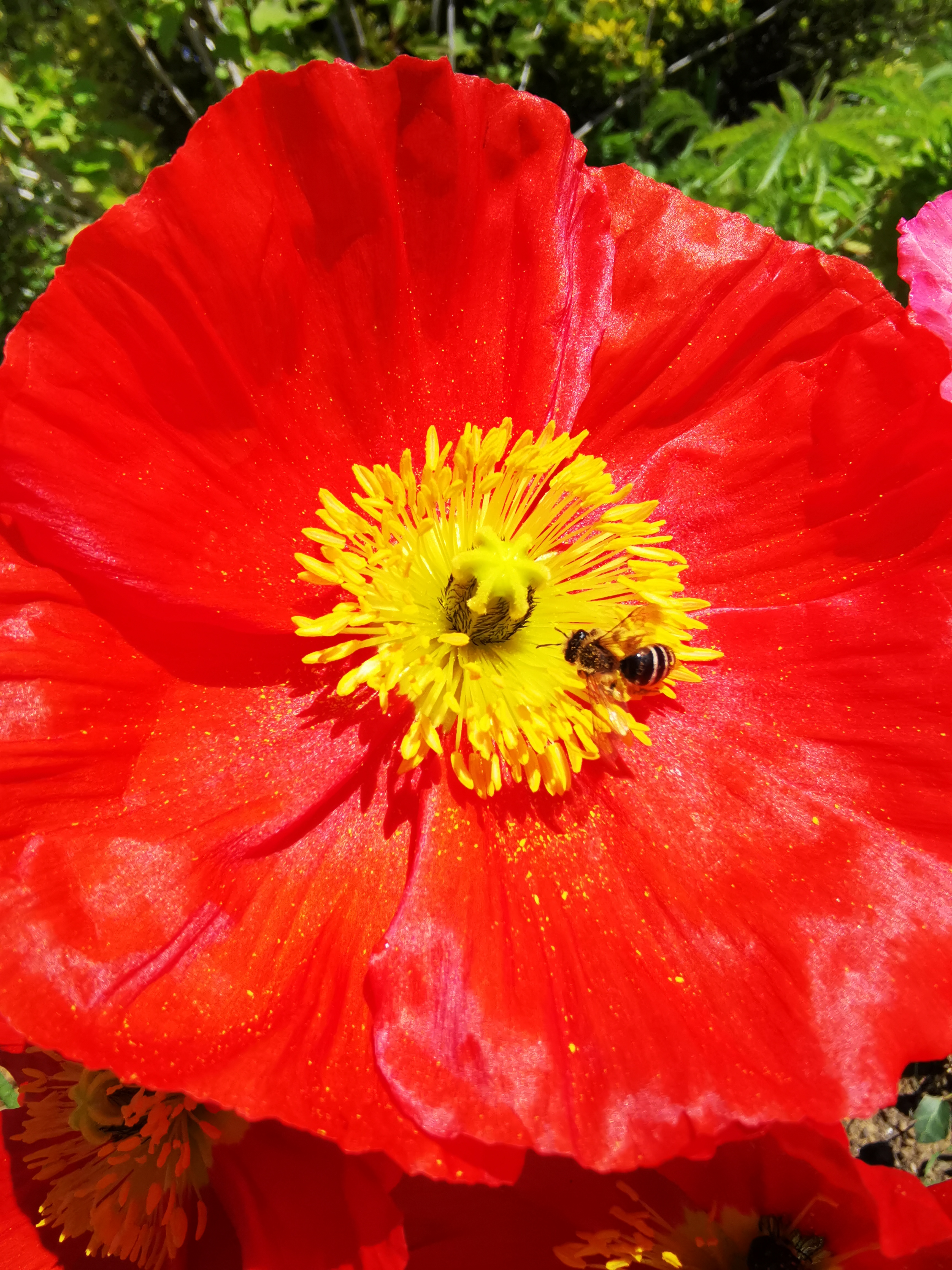 Photo n° 15 de l'avis de Betty.o fait le 16/04/2023 à 13:54