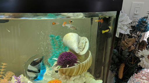 Pet Supply Store «Seascape Aquarium & Pet Center», reviews and photos, 2162 Gulf Gate Dr, Sarasota, FL 34231, USA