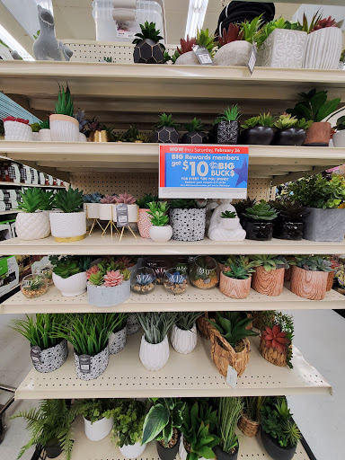 Discount Store «Big Lots», reviews and photos, 103 N Poplar St, Searcy, AR 72143, USA