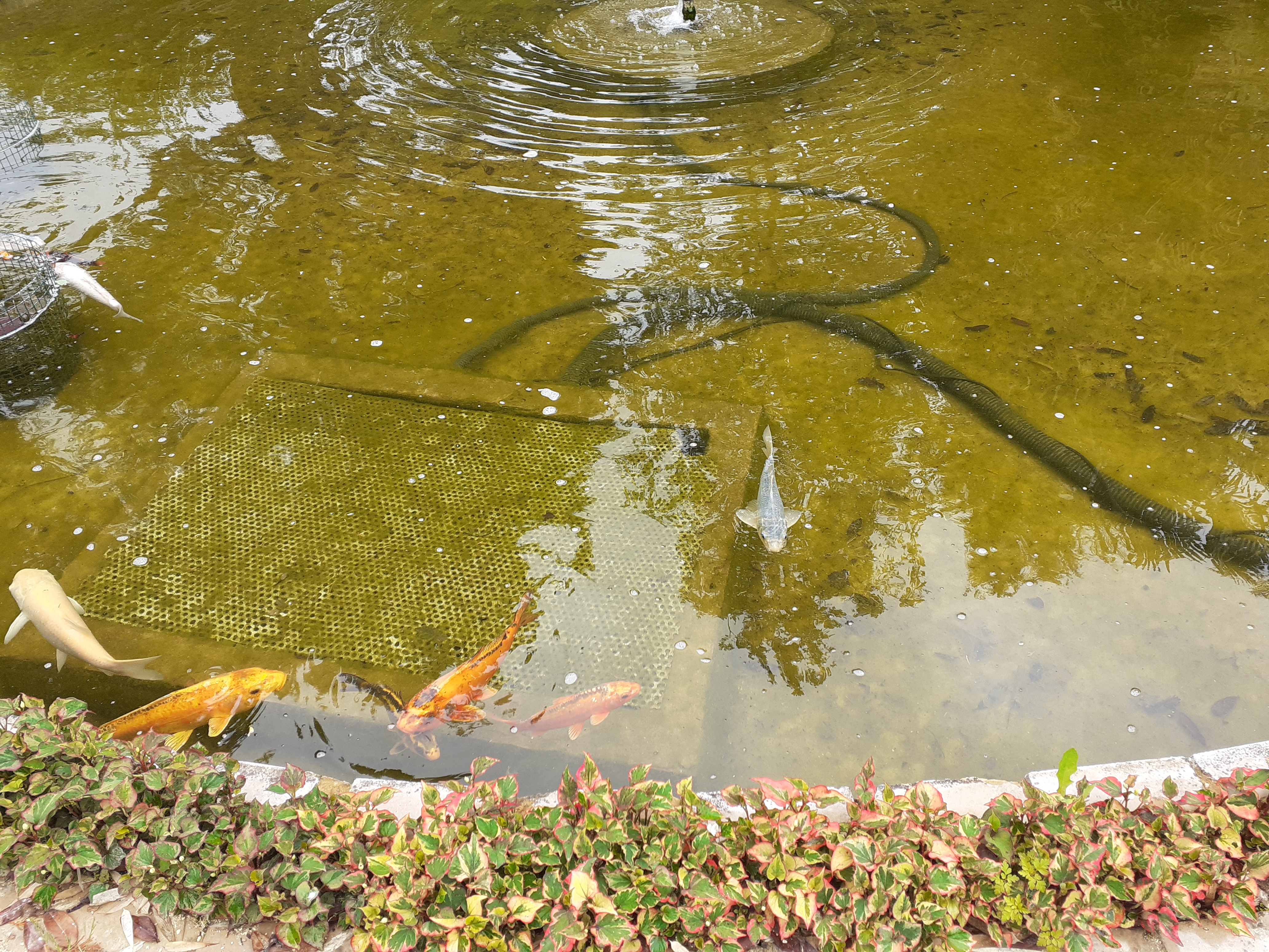 Photo n° 9 de l'avis de Kirenia.e fait le 22/05/2021 à 17:27