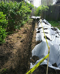 Davilas Excavations Inc. - Photo 2 - Car repair in Irving, TX, Irving