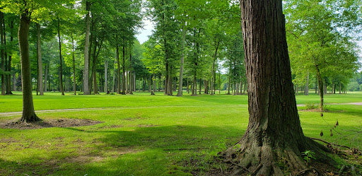 Golf Course «Richmond Forest Golf Course», reviews and photos, 33300 32 mile Road, Lenox, MI 48050, USA
