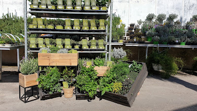 Jardinerie Roubaud à Marseille