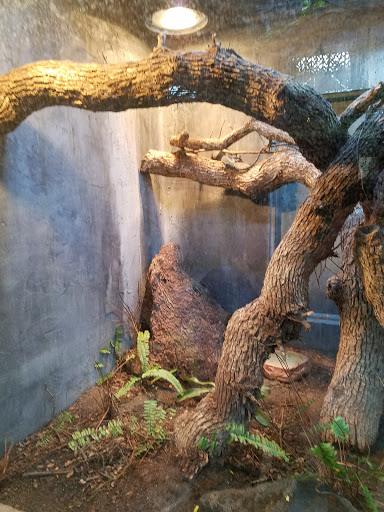 Pet Store «Lost Realms Pets», reviews and photos, 8059 N Cedar Ave, Fresno, CA 93720, USA