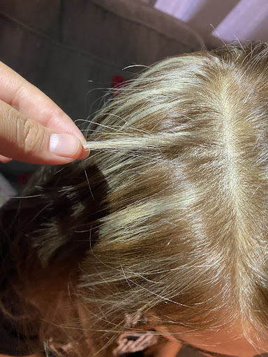 3206 Falls Dr, Dallas, TX 75211, USA