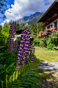 Photos du propriétaire du Restaurant français Cremerie La Montagne à Chamonix-Mont-Blanc - n°6