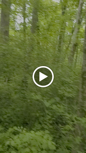 Park «Falls Park», reviews and photos, 460 Falls Park Dr, Pendleton, IN 46064, USA